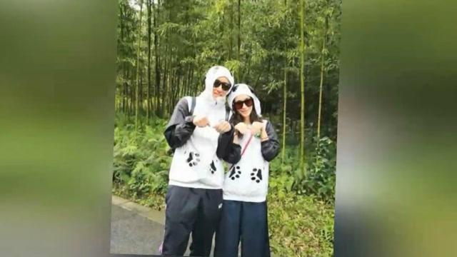 幼崽救援行动选关版
